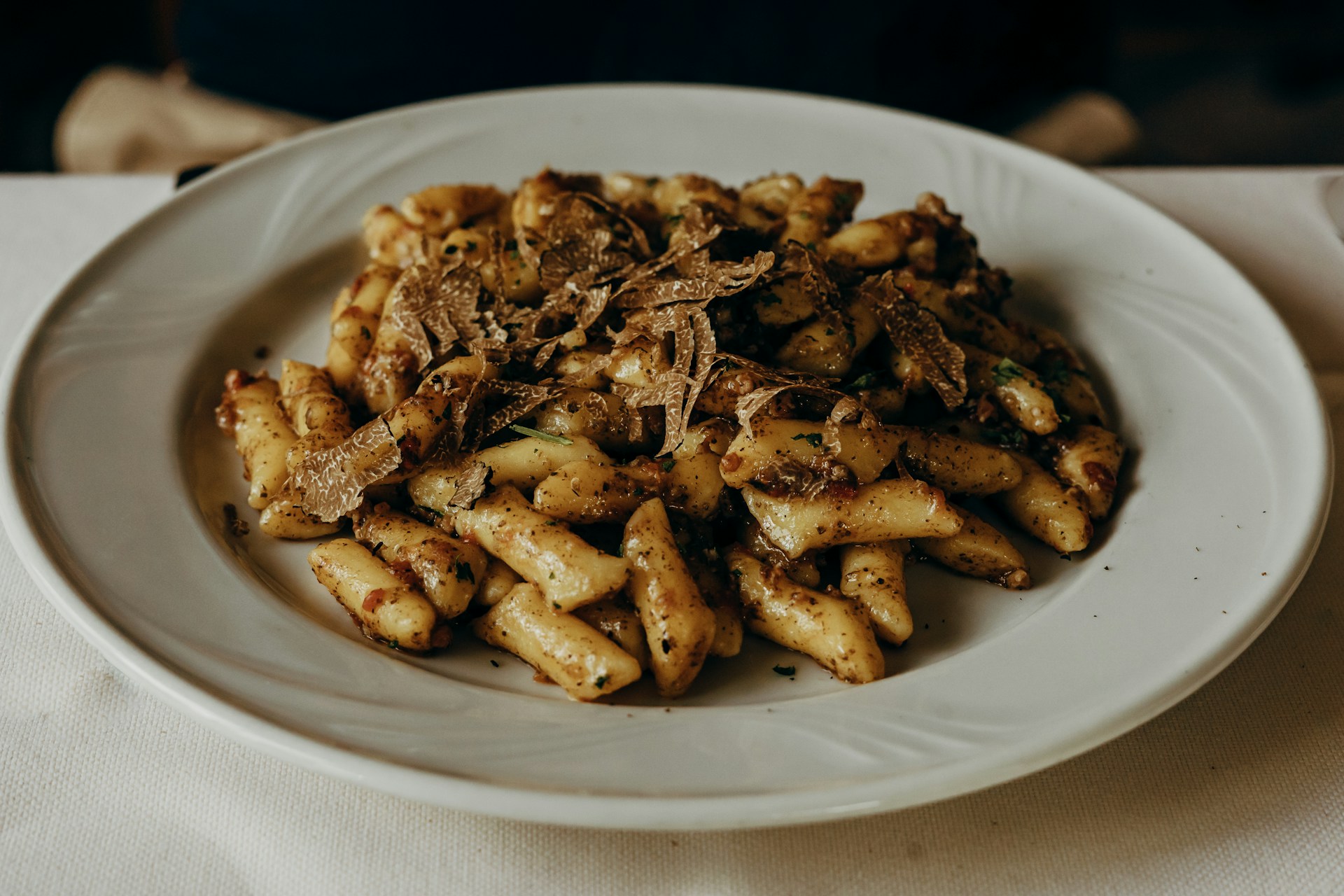 Truffle hunting experience in Istria