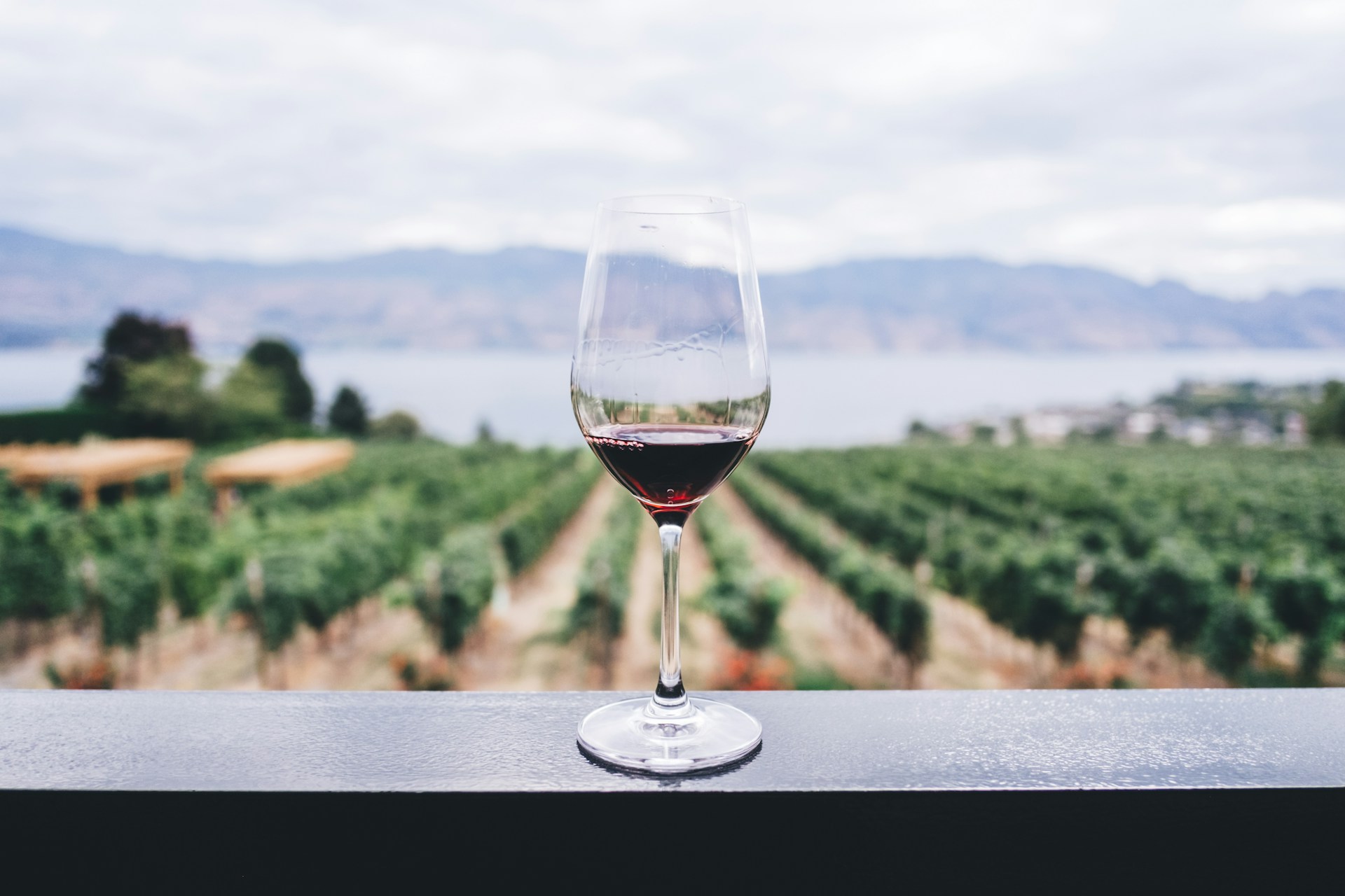Private wine tasting in Dalmatia